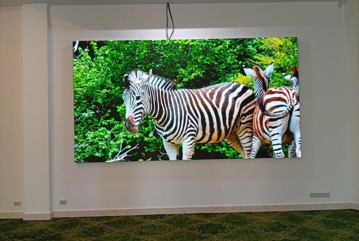 Интерьерный LED-экран на стене зала